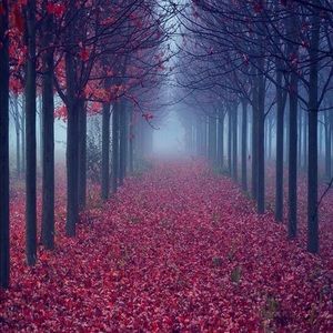 Meet your Posher, Mamy